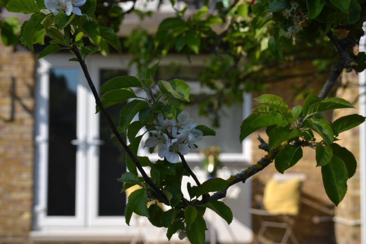 Epicsa - Family & Corporate Stay Mews Apartments With Free Parking Cambridge Exterior foto